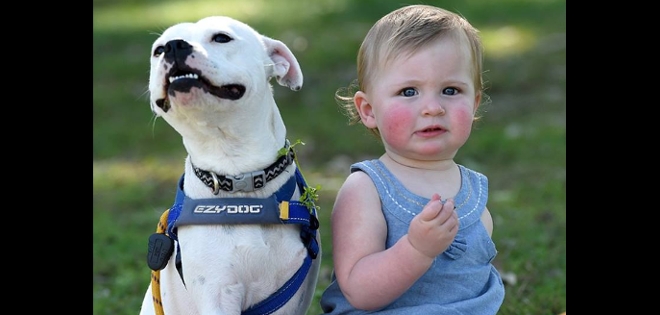 La hermosa amistad de una niña y un perro a quienes les falta un brazo