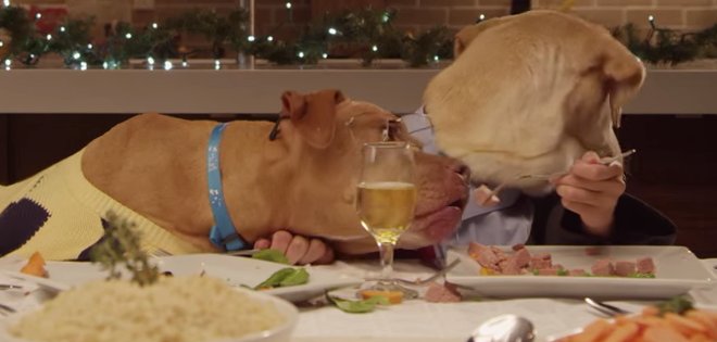 (VIDEO) Así sería la cena navideña entre 13 perros y un gato