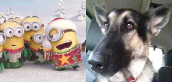 Un perro con orejas rítmicas y una Navidad con los minios en #LoMásVisto