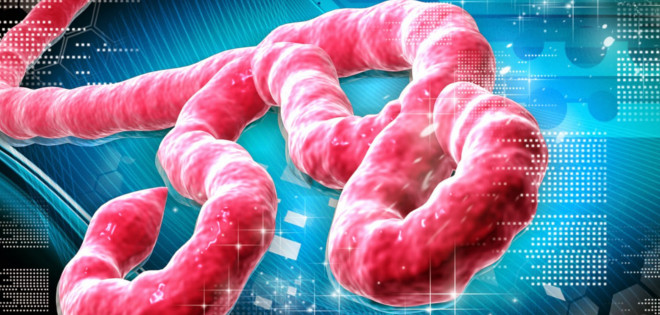 La genética puede influir en mortalidad del ébola