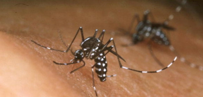 Confirman 4 casos de dengue grave en Esmeraldas