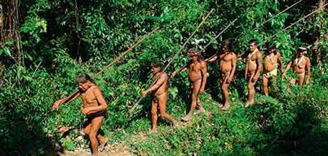 Juez sobreseyó a 17 acusados de matanza contra tribu taromenane