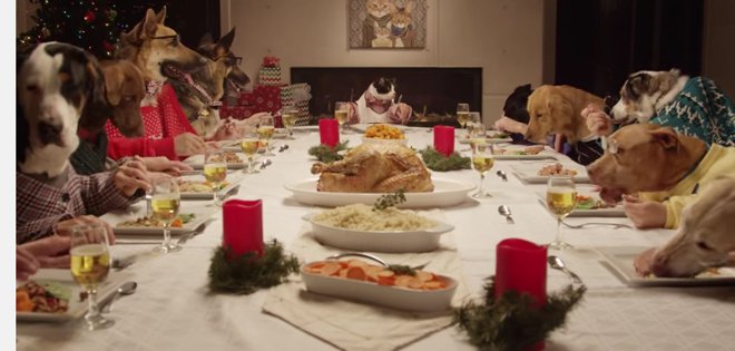 (VIDEO) Así sería la cena navideña entre 13 perros y un gato