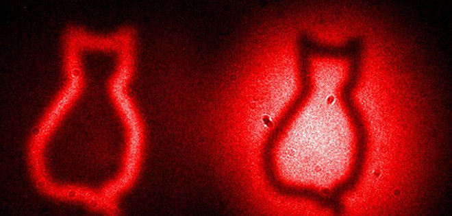 Científicos logran captar la imagen del gato de Schrödinger