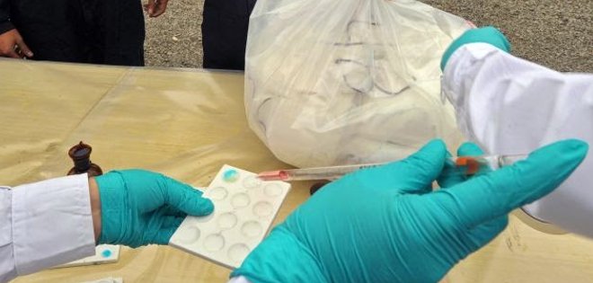 Incautan en aeropuerto de España 20 kilos de cocaína procedentes de Ecuador