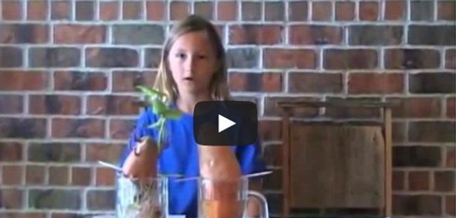 VIDEO: Niña revela con experimento secreto de alimentos transgénicos y orgánicos