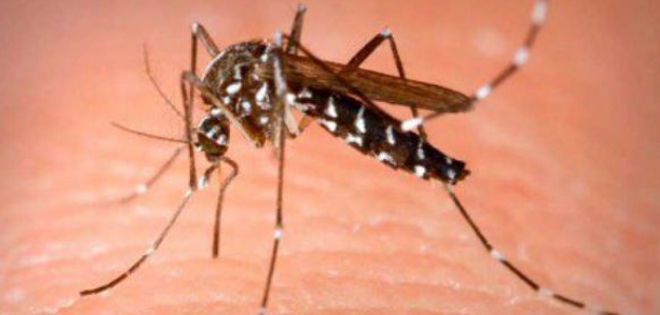 Ministerio de Salud confirma 2 casos más de chikungunya en Manabí