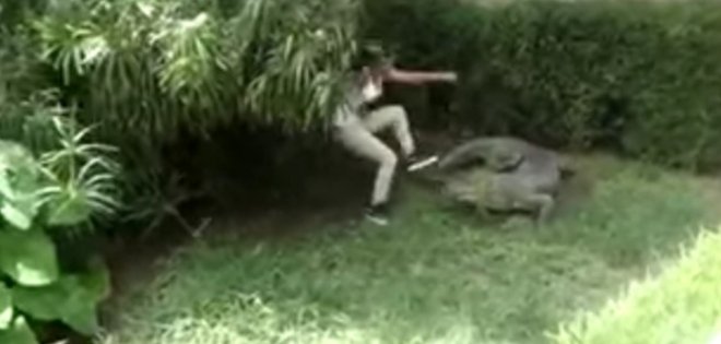 (VIDEO) Adolescente entra a un refugio de cocodrilos mientras la graban