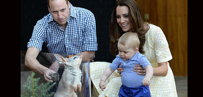 El príncipe George conoció al marsupial australiano que lleva su nombre