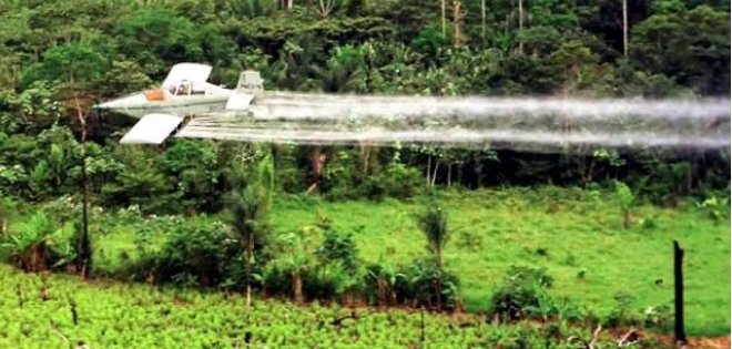Denuncian en Ecuador efectos de fumigación antidrogas de Colombia en frontera