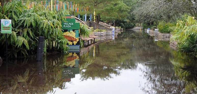 Zoo de Miami cierra ante temor de escape de animales por inundación