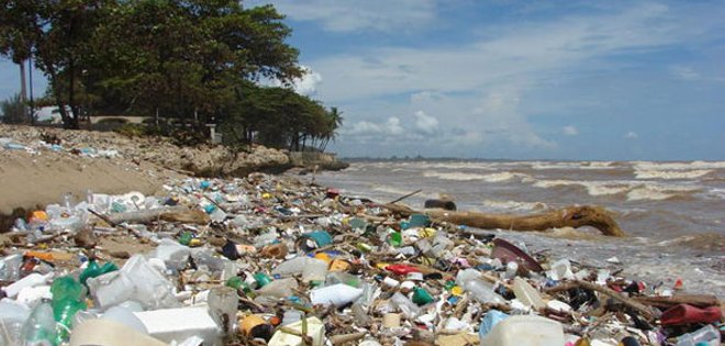 Plásticos en océanos matan 1,5 millones de animales al año, según experta