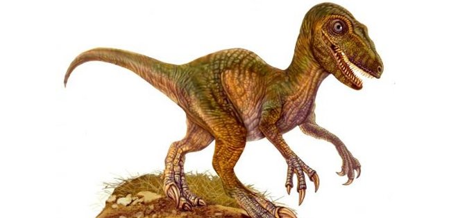 Descubren el primer dinosaurio &#039;venezolano&#039;