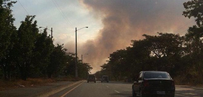 Incendio forestal se produce en km 26 vía a la Costa