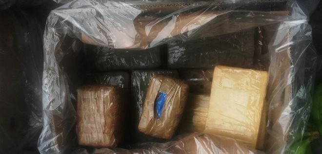 Policía frustra envió de 370,5 kilos de cocaína a Bélgica