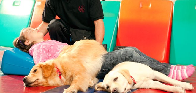 Perros ayudan a personas con discapacidades a través de la canoterapia