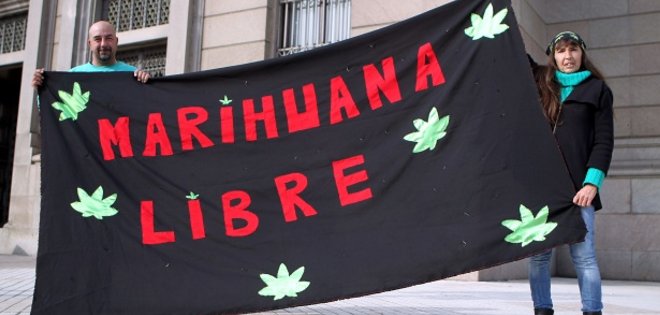Uruguay: ¿cómo funcionará la producción y venta de marihuana?
