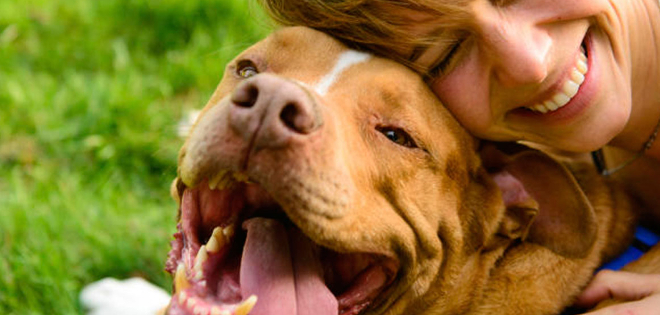 10 beneficios de convivir con perros