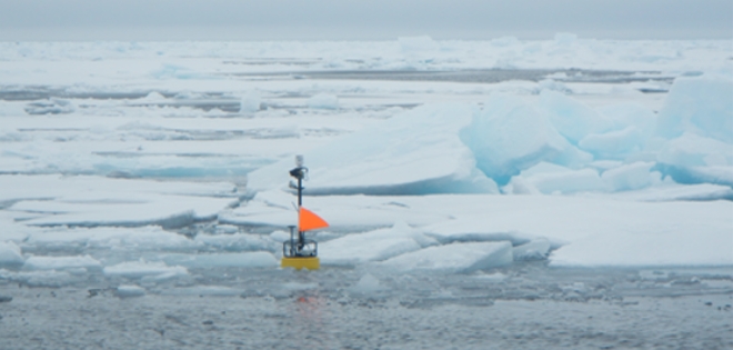 Captan por primera vez olas de 5 metros en el Océano Ártico