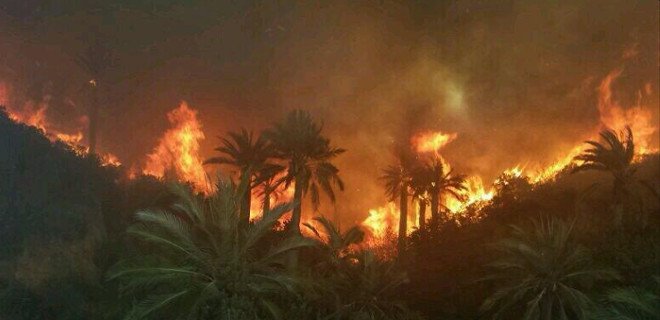 Alerta roja por incendio forestal que afecta a ciudad chilena de Viña del Mar