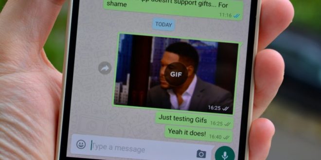 Cómo crear y enviar archivos GIF por WhatsApp
