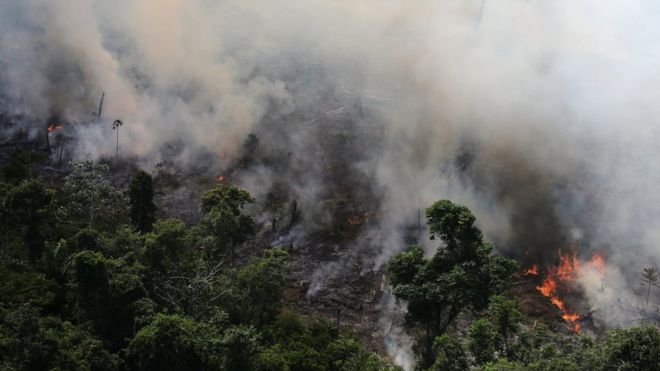 3 mapas que muestran magnitud de incendios en Amazonas
