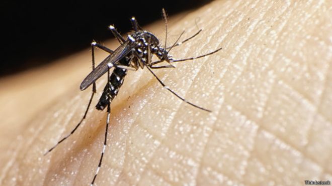 El virus de zika sigue propagándose en América Latina