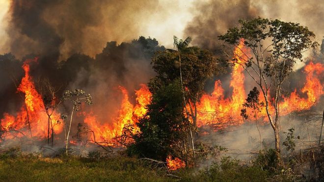 Lo que se sabe del origen de incendios en el Amazonas