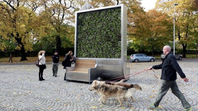 El árbol creado en Alemania que absorbe la contaminación del aire en la ciudad como si fuese un pequeño bosque