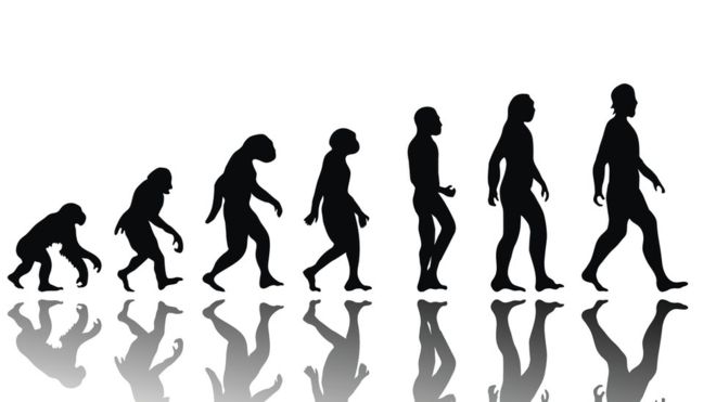 Cómo evolucionaremos los humanos en los próximos 200 años (la potencialmente aterradora visión de Yuval Harari)