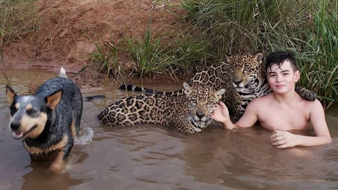 La foto viral del niño que juega con jaguares en Brasil