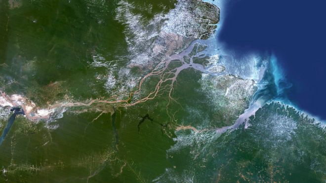 El inesperado arrecife de coral de 1.000 kilómetros descubierto en la boca del Amazonas
