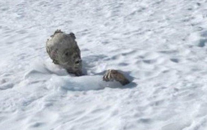 Hallan cuerpo momificado de un hombre en cima de volcán mexicano