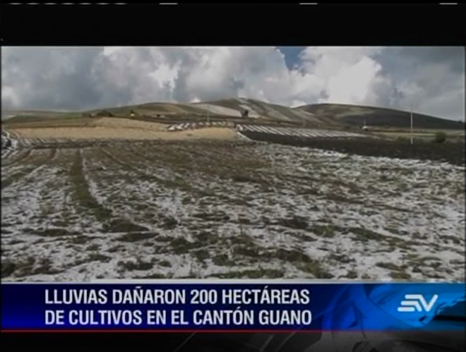 Lluvias y granizo afectaron los cultivos en Chimborazo