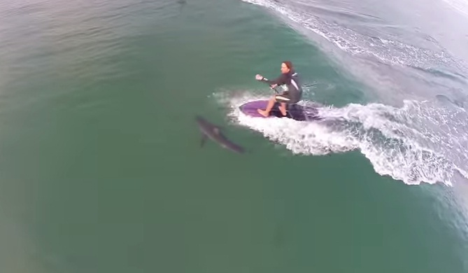 (Video) Drone capta cuando un surfista casi choca con un tiburón