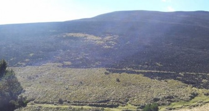 Un incendio forestal en el cerro Pilishurco afectó a 5 hectáreas de pajonal
