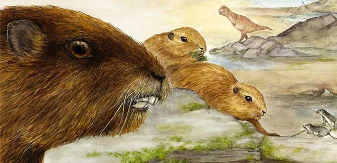 Descubren el cráneo del enigmático mamífero prehistórico Gondwanatheria