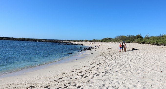 Más de 74 mil viajeros ecuatorianos visitaron las islas Galápagos en 2017
