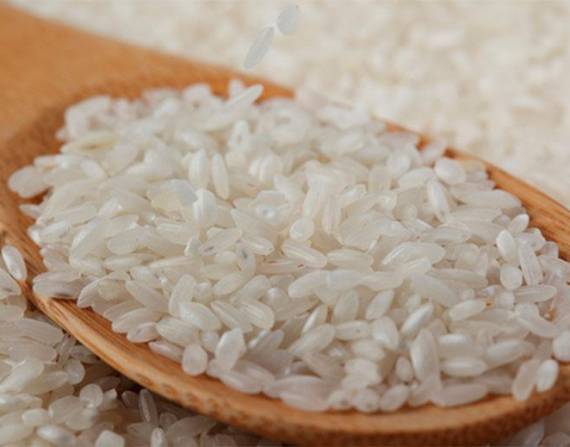 Imagen referencial para graficar el grano del arroz.