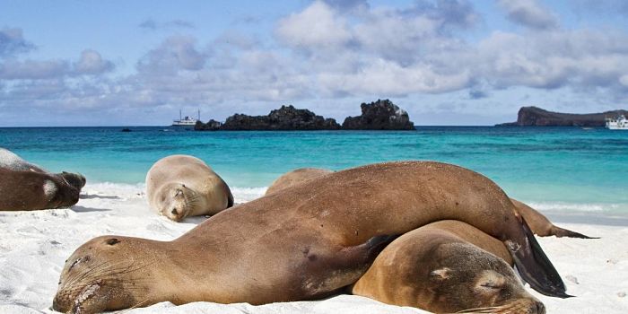 Islas Galápagos, entre sitios naturales amenazados por cambio climático