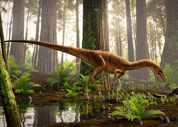 Descubren al &#039;tatarabuelo&#039; del Tyrannosaurus Rex