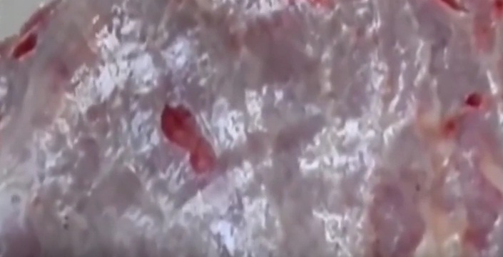(VIDEO) El pedazo de &#039;carne zombie&#039; que hará que pienses en ser vegetariano