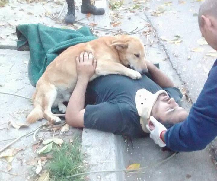 Un perro &#039;abraza&#039; a su dueño accidentado en Argentina