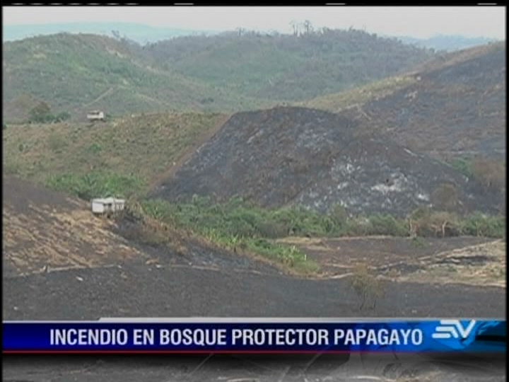 60 hectáreas del bosque Papagayo fueron consumidas en incendio
