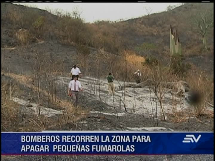 Incendio destruyó hábitat de 10 especies silvestres en Cerro Azul