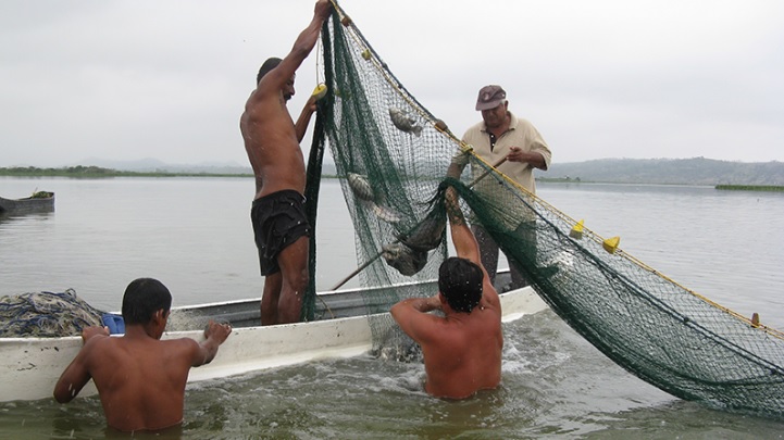 Pescadores artesanales de Esmeraldas accederán a Seguro Social Campesino