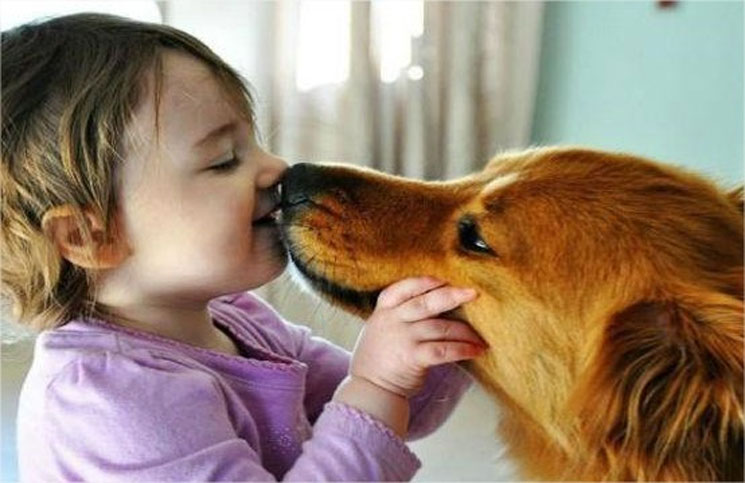 En qué zona un perro nunca debería &quot;besar&quot; a su dueño