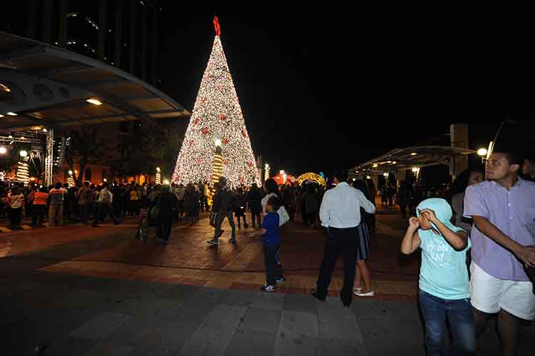 Dos árboles se encederán en Guayaquil por la temporada navideña