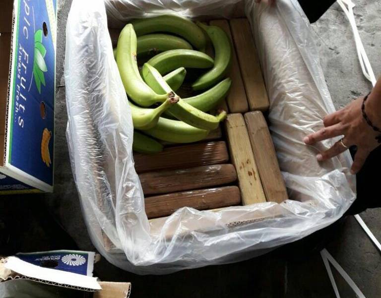 Policía incauta en Machala 1 tonelada de droga camuflada en cajas de banano