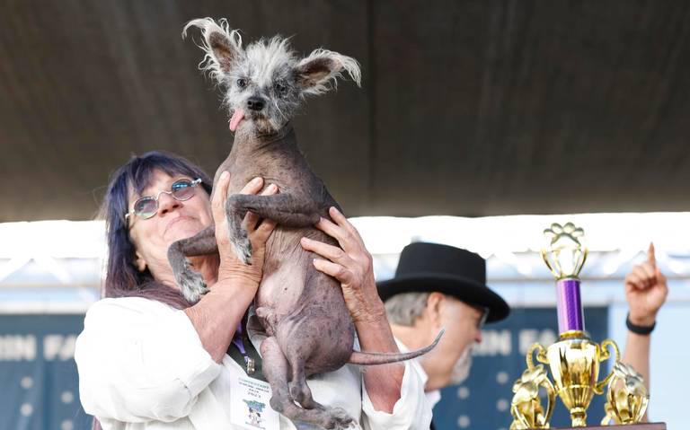 Scooter, recibiendo el premio junto a su dueña. Scooter, recibiendo el premio junto a su dueña.